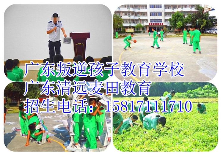 广东教育叛逆少年的学校，广东清远麦田教育电话15817111710